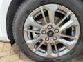 Ford Focus Turnier 1.5 EcoBlue Titanium AHK*CAM*LED Weiß - thumbnail 12