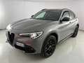 Alfa Romeo Stelvio 2.2 Turbo Business Silber - thumbnail 1