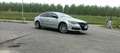 Volkswagen Passat CC 2.0 tdi 170cv 5p.ti - thumbnail 3