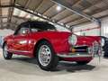 Alfa Romeo Giulietta Spider Rouge - thumbnail 2