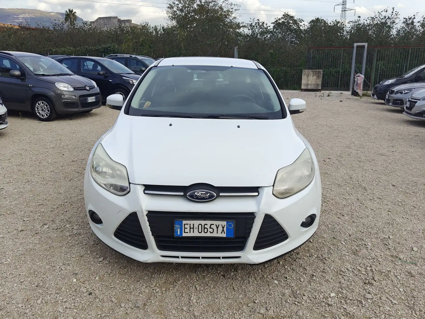 Ford Focus Focus 1.6 TDCi 115 CV LEGGI Bianco - 2