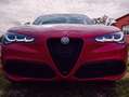 Alfa Romeo Stelvio 2.2 Turbo Diesel AT8 210cv Tributo Italiano 4710 Rosso - thumbnail 2