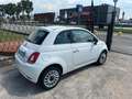Fiat 500 1.0 Hybrid Dolcevita Blanc - thumbnail 2