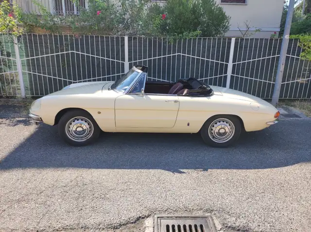 Alfa Romeo Spider