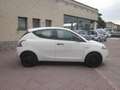 Lancia Ypsilon 1.2 69 CV 5 posti Elefantino Blu Bianco - thumbnail 4