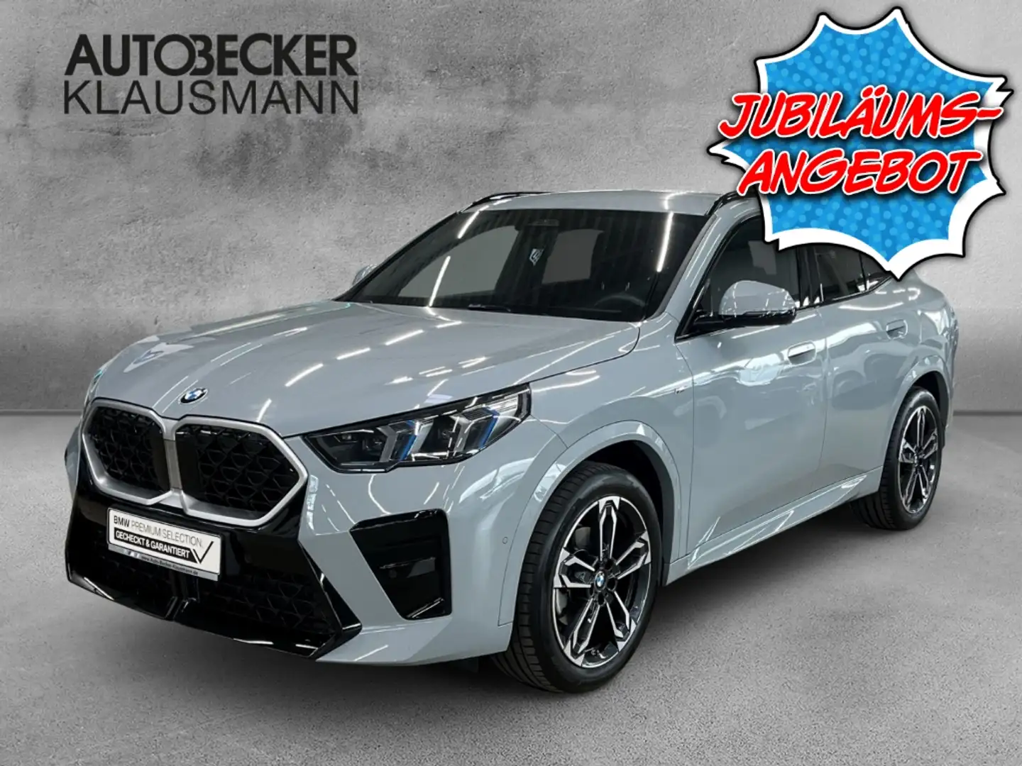 BMW X2 sDrive 18d M SPORT 19'' AHK DACHRELING PARKEN KOMF Grey - 1