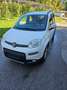 Fiat Panda 4x4 Panda 0,9 Twinair Turbo-Pickerl bis 01.2025 Weiß - thumbnail 2