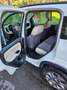 Fiat Panda 4x4 Panda 0,9 Twinair Turbo-Pickerl bis 01.2025 Weiß - thumbnail 13