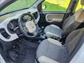 Fiat Panda 4x4 Panda 0,9 Twinair Turbo-Pickerl bis 01.2025 Weiß - thumbnail 9