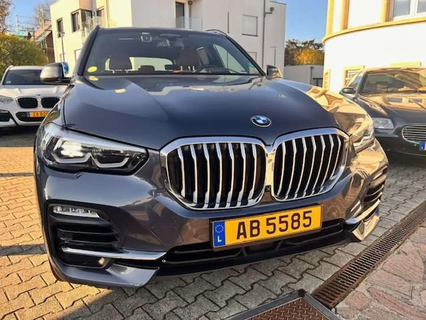 BMW X5 2.0 dA xDrive25 AdBlue Gris - 2
