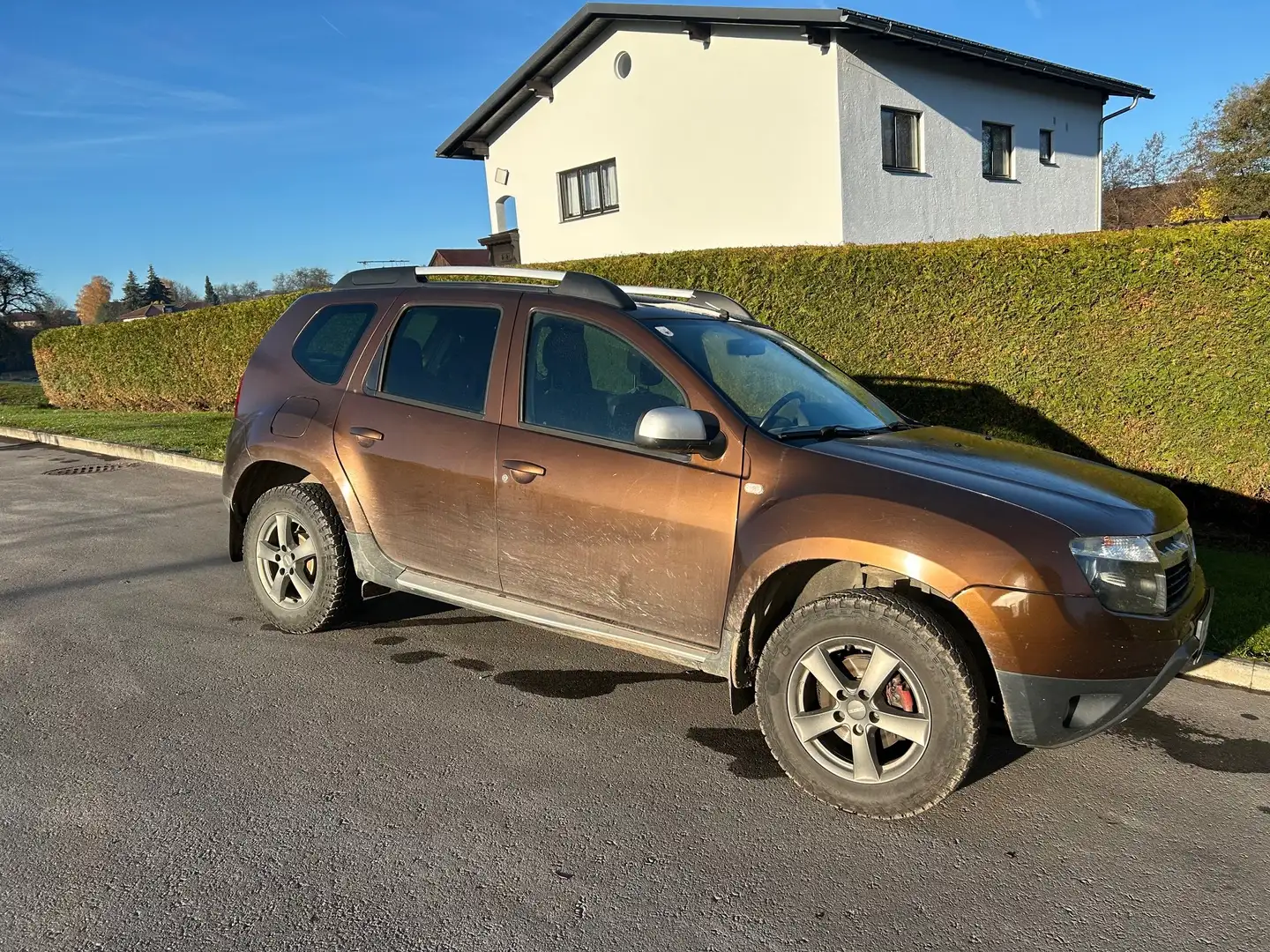 Dacia Duster Duster Experience dCi 110 Experience Braun - 1