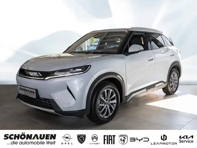 BYD Sonstige