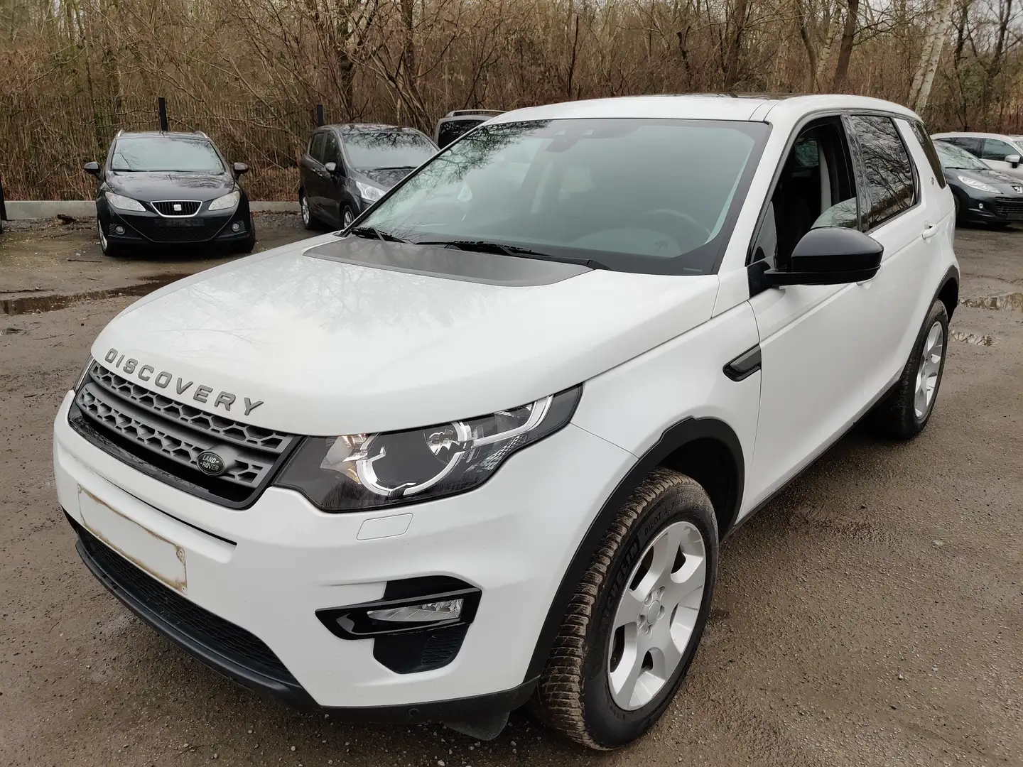 Land Rover Discovery Sport 2.0 TD4 Pure (EU6d-TEMP) Blanco - 1