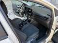 Ford Puma Puma II 2020 1.0 ecoboost ST-Line X s Bianco - thumbnail 8