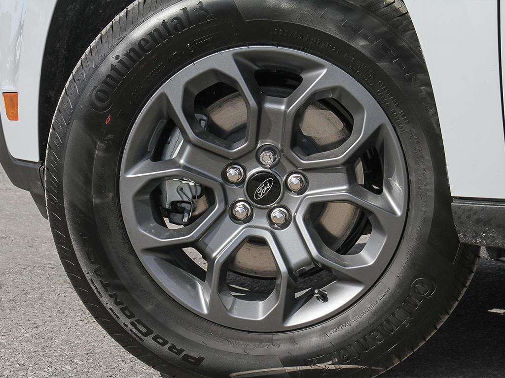 Image 6