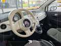 Fiat 500C 500C 1.4 16v Lounge 100cv Weiß - thumbnail 9