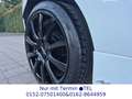 Ford Fiesta Titanium*ST-LINE*LEDER*SITZHEIZ*2Hd Weiß - thumbnail 6