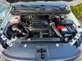 Ford Ranger Wildtrak Doppelkabine 4x4 AHK Blanc - thumbnail 13