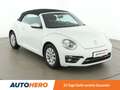 Volkswagen Beetle 1.2 TSI Austria *TEMPO*KLIMA*BT* White - thumbnail 8