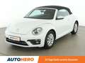 Volkswagen Beetle 1.2 TSI Austria *TEMPO*KLIMA*BT* Weiß - thumbnail 1