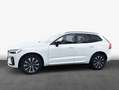 Volvo XC60 XC60 B4 AWD Plus-Dark Aut ACC BLIS AHK LEDER Blanco - thumbnail 4