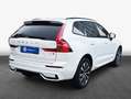 Volvo XC60 XC60 B4 AWD Plus-Dark Aut ACC BLIS AHK LEDER Blanco - thumbnail 2