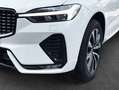Volvo XC60 XC60 B4 AWD Plus-Dark Aut ACC BLIS AHK LEDER Blanco - thumbnail 5