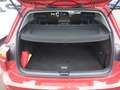 Volkswagen Golf VIII 1.5 TSI ACTIVE +LED +ACC +VIRTUAL +NAVI +SHZ Rot - thumbnail 15