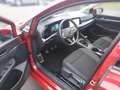 Volkswagen Golf VIII 1.5 TSI ACTIVE +LED +ACC +VIRTUAL +NAVI +SHZ Rot - thumbnail 9