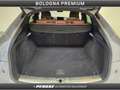 Audi Q5 Q5 SPB 40 TDI quattro S tronic S line plus Gris - thumbnail 10