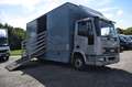 Iveco 80E15 Grau - thumbnail 1
