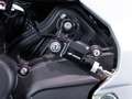 MV Agusta Superveloce 800 AGO N° XXX/311 Rojo - thumbnail 22