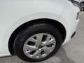 Citroen C4 Picasso 1.6BlueHDi S&S Live 100 Blanc - thumbnail 10