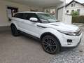 Land Rover Range Rover Evoque Pure 2,2 SD4 Aut. - thumbnail 8