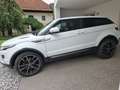 Land Rover Range Rover Evoque Pure 2,2 SD4 Aut. - thumbnail 4