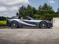 Ferrari 812 GTS / Grigio GTS / Lift / Full Carbon / Pass. Disp Grey - thumbnail 14