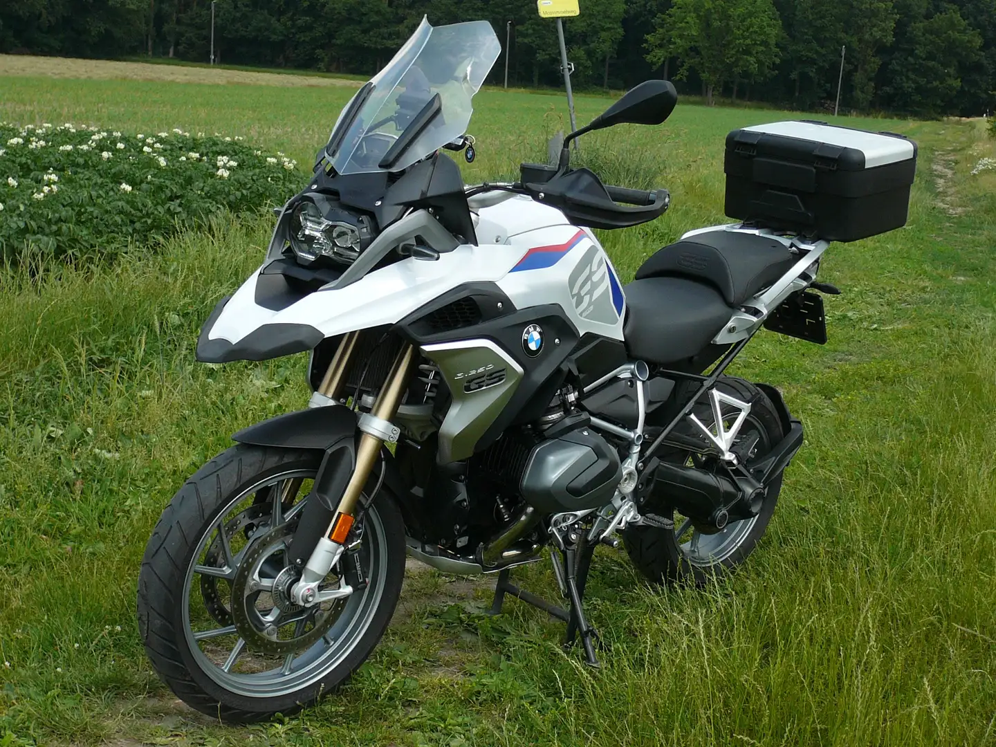 BMW R 1250 GS OPTION 719 White - 2