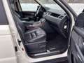 Land Rover Range Rover Sport 3,0 TDV6  HSE-Xenon-Dach-Leder Weiß - thumbnail 16