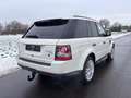 Land Rover Range Rover Sport 3,0 TDV6  HSE-Xenon-Dach-Leder Weiß - thumbnail 5