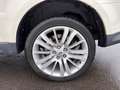 Land Rover Range Rover Sport 3,0 TDV6  HSE-Xenon-Dach-Leder Weiß - thumbnail 20