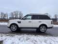 Land Rover Range Rover Sport 3,0 TDV6  HSE-Xenon-Dach-Leder Weiß - thumbnail 2