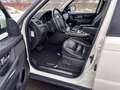 Land Rover Range Rover Sport 3,0 TDV6  HSE-Xenon-Dach-Leder Weiß - thumbnail 11