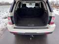 Land Rover Range Rover Sport 3,0 TDV6  HSE-Xenon-Dach-Leder Weiß - thumbnail 18