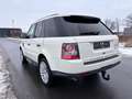 Land Rover Range Rover Sport 3,0 TDV6  HSE-Xenon-Dach-Leder Weiß - thumbnail 3