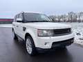 Land Rover Range Rover Sport 3,0 TDV6  HSE-Xenon-Dach-Leder Weiß - thumbnail 7