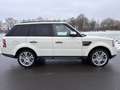 Land Rover Range Rover Sport 3,0 TDV6  HSE-Xenon-Dach-Leder Weiß - thumbnail 6