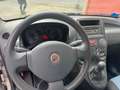 Fiat Panda Panda II 1.2 Dynamic BOLLI DA GRANDINE Argento - thumbnail 9