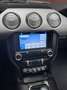 Ford Mustang Convertible 2.3 ecoboost 317cv premium Grigio - thumbnail 11