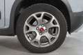 Fiat Panda City Cross 1.0 Firefly MHEV Grau - thumbnail 9