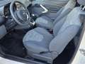 Ford Ka/Ka+ 1.2 Cool&Sound Nieuwe distributieriem + waterpomp Blanc - thumbnail 8